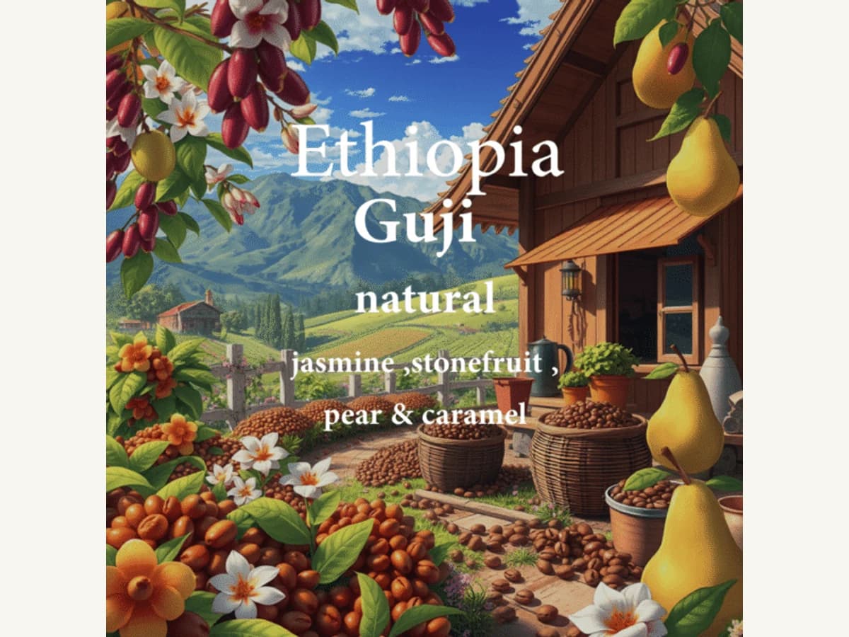 ALEZ Coffee Roaster Ethiopia Guji bag illustration