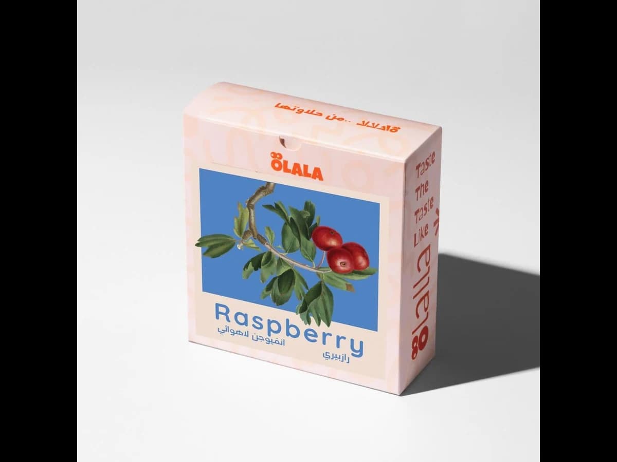 ÖLALA Coffee Roastery Raspberry Infusion bag illustration