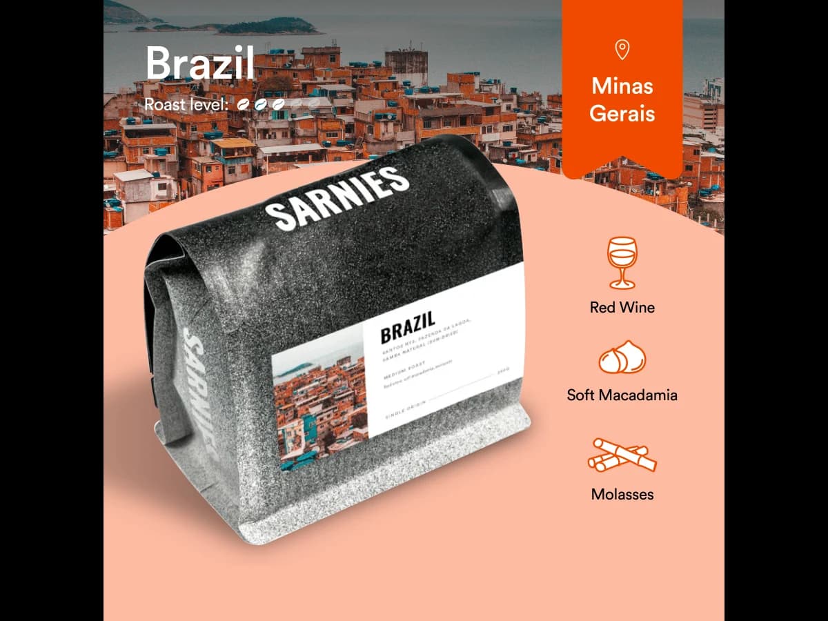 Sarnies Brazil Fazenda Samba bag illustration