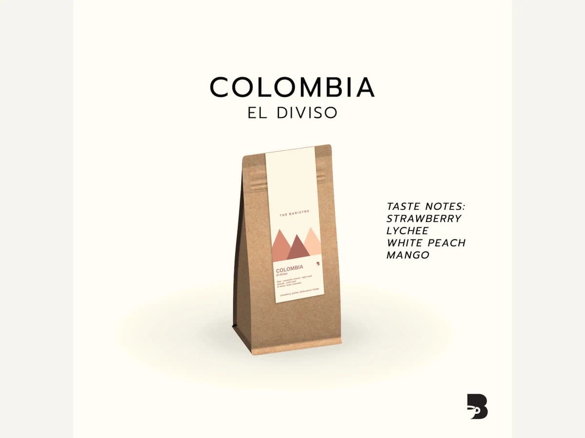 The Baristro Colombia El Diviso bag illustration