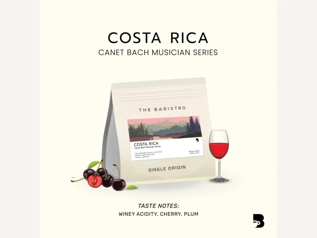 The Baristro Costa Rica Canet Bach Musician Series bag illustration