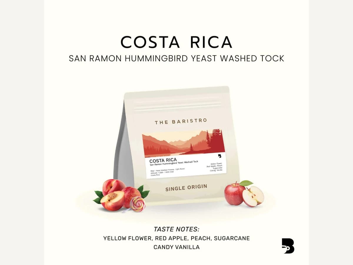 The Baristro Costa Rica San Ramon Hummingbird bag illustration