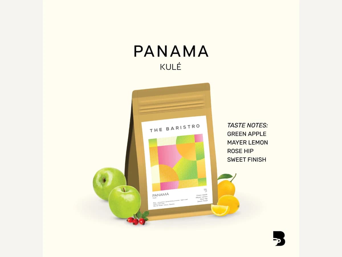 The Baristro Panama Kule bag illustration